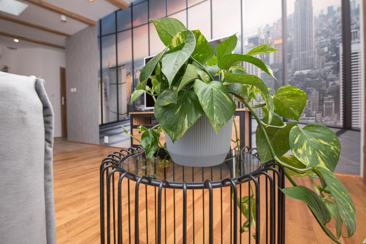 Apartament Mikolowska 2 Gliwice Ngoại thất bức ảnh
